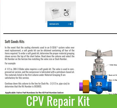 CPV Repair Kit